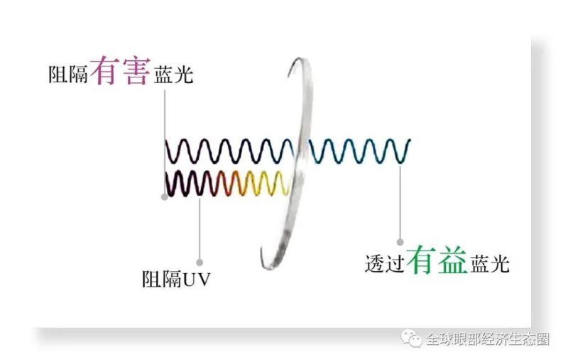 你的防藍光眼鏡戴對了嗎 你的防藍光眼鏡戴對了嗎