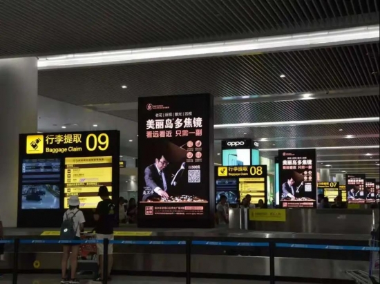 美麗島多焦鏡:美麗島的長期主義 美麗島多焦鏡:美麗島的長期主義